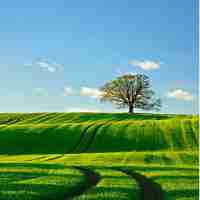 vue3 自‌定‍义​指​令​